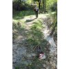 Velkomen to Trachtemyriv