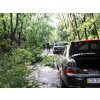 Завал з дерев на спуску від лікарні до гуртожитку культучилища